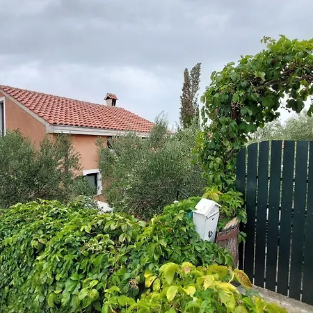 Bunja * Prvic Sepurine