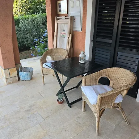 Bunja 普维克瑟普瑞内