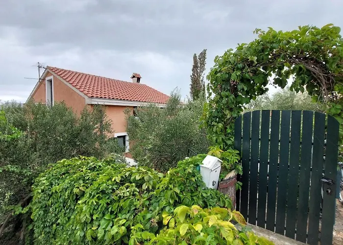 Bunja * 普维克瑟普瑞内